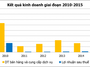 HOANG QUAN CONSULTING - TRADING - SERVICE REAL ESTATE CORPORATION: BUSINESS RESULTS IN 2015